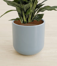 Load image into Gallery viewer, Misty Blue stand:all
