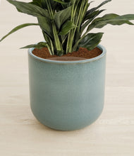 Load image into Gallery viewer, Reactive Aqua stand:all
