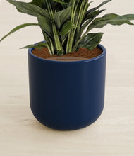 Load image into Gallery viewer, Twilight Blue stand:all
