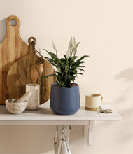 Load image into Gallery viewer, Deep Navy
