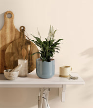Load image into Gallery viewer, Misty Blue
