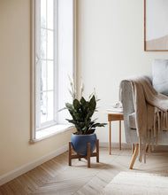 Load image into Gallery viewer, Deep Navy stand:walnut
