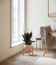 Load image into Gallery viewer, Calm Rose stand:bamboo
