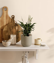 Load image into Gallery viewer, Sage Green
