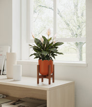 Load image into Gallery viewer, Earth Red stand:walnut
