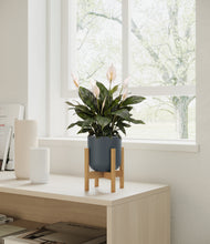 Load image into Gallery viewer, Iron Gray stand:bamboo
