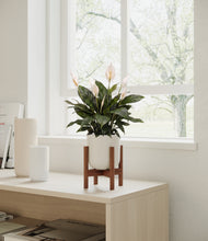 Load image into Gallery viewer, Natural Bamboo stand:walnut
