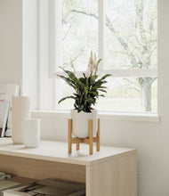 Load image into Gallery viewer, Natural Bamboo stand:bamboo
