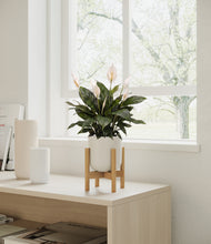 Load image into Gallery viewer, Natural Bamboo stand:bamboo
