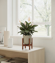Load image into Gallery viewer, Sage Green stand:walnut
