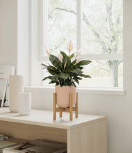 Load image into Gallery viewer, Sandy Pink stand:bamboo
