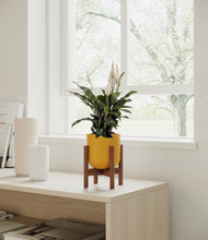 Load image into Gallery viewer, Sunset Orange stand:walnut
