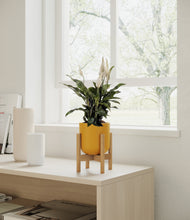 Load image into Gallery viewer, Sunset Orange stand:bamboo

