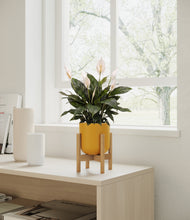 Load image into Gallery viewer, Sunset Orange stand:bamboo
