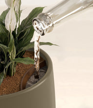 Load image into Gallery viewer, Olive stand:all
