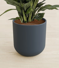 Load image into Gallery viewer, Iron Gray stand:all
