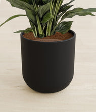 Load image into Gallery viewer, Stone Black stand:all
