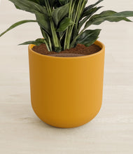 Load image into Gallery viewer, Sunset Orange stand:all
