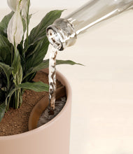 Load image into Gallery viewer, Sandy Pink stand:all
