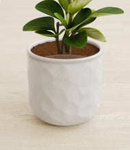 Load image into Gallery viewer, Hammered Ivory stand:all
