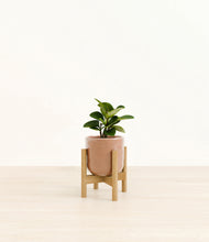 Load image into Gallery viewer, Hammered Peach Pink stand:bamboo
