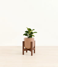 Load image into Gallery viewer, Hammered Peach Pink stand:walnut
