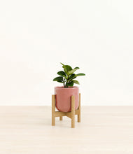 Load image into Gallery viewer, Hammered Rose Pink stand:bamboo
