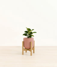 Load image into Gallery viewer, Striped Rose Pink stand:bamboo
