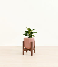 Load image into Gallery viewer, Striped Rose Pink stand:walnut

