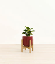 Load image into Gallery viewer, Striped Cherry Red stand:bamboo
