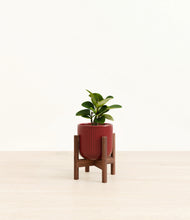 Load image into Gallery viewer, Striped Cherry Red stand:walnut
