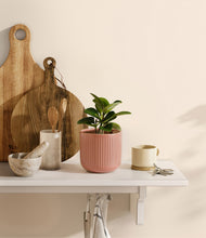 Load image into Gallery viewer, Striped Rose Pink
