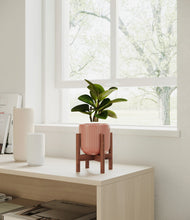 Load image into Gallery viewer, Striped Rose Pink stand:walnut

