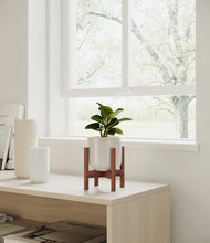 Load image into Gallery viewer, Snowdrift White stand:walnut
