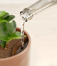 Load image into Gallery viewer, Hammered Peach Pink stand:all
