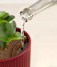 Load image into Gallery viewer, Striped Cherry Red stand:all
