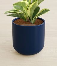 Load image into Gallery viewer, Twilight Blue stand:all
