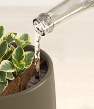Load image into Gallery viewer, Olive stand:all
