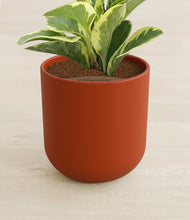 Load image into Gallery viewer, Earth Red stand:all
