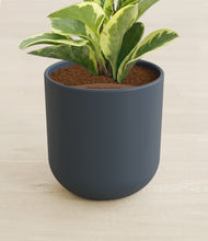Load image into Gallery viewer, Iron Gray stand:all
