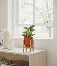 Load image into Gallery viewer, Earth Red stand:bamboo
