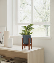 Load image into Gallery viewer, Iron Gray stand:walnut
