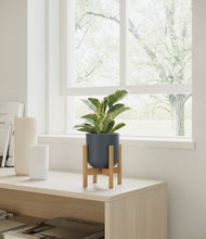 Load image into Gallery viewer, Iron Gray stand:bamboo

