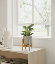 Load image into Gallery viewer, Sage Green stand:bamboo
