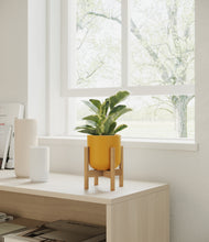 Load image into Gallery viewer, Sunset Orange stand:bamboo
