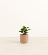 Load image into Gallery viewer, Hammered Peach Pink*****Profile
