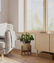 Load image into Gallery viewer, Olive stand:walnut
