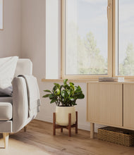 Load image into Gallery viewer, Almond Green stand:walnut
