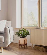 Load image into Gallery viewer, Gentle Pink stand:walnut
