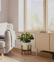 Load image into Gallery viewer, Turquoise stand:walnut
